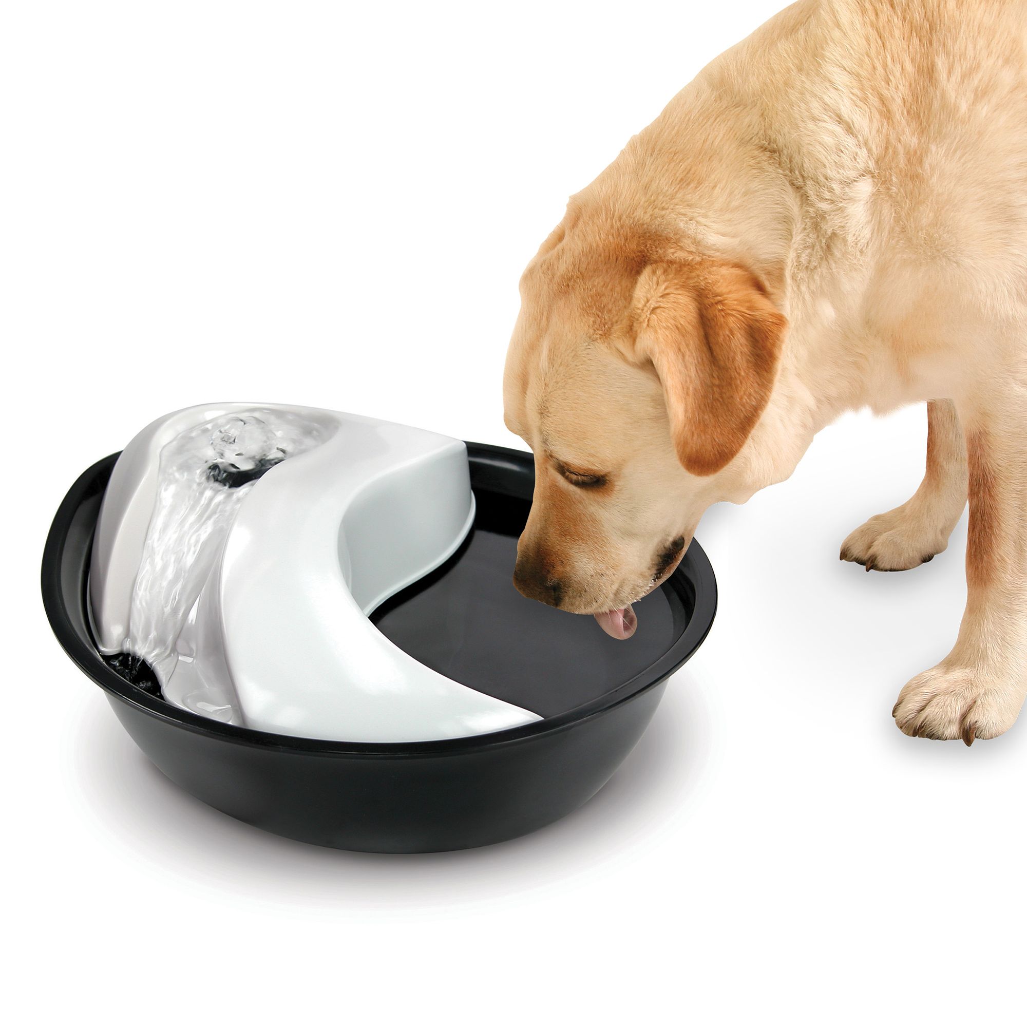 Pioneer Pet Raindrop Trade Pet Fountain Dog Automatic Feeders