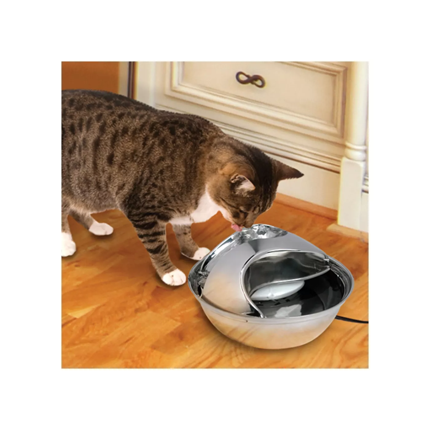 Pioneer Pet Raindrop Stainless Steel Pet Fountain