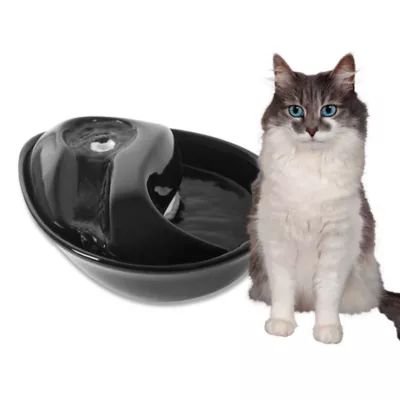 Pioneer Pet Raindrop Ceramic Pet Fountain