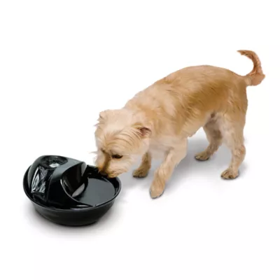 Product Pioneer Pet® Raindrop™ Ceramic Pet Fountain