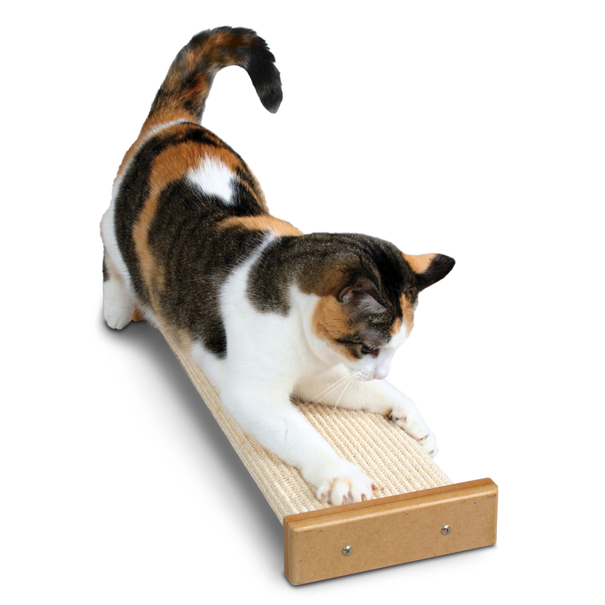 Pioneer Pet SmartCat Bootsie s Combination Cat Scratcher