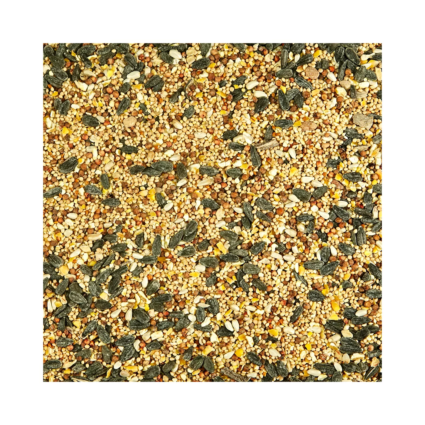 Product KAYTEE® Select Wild Bird Food