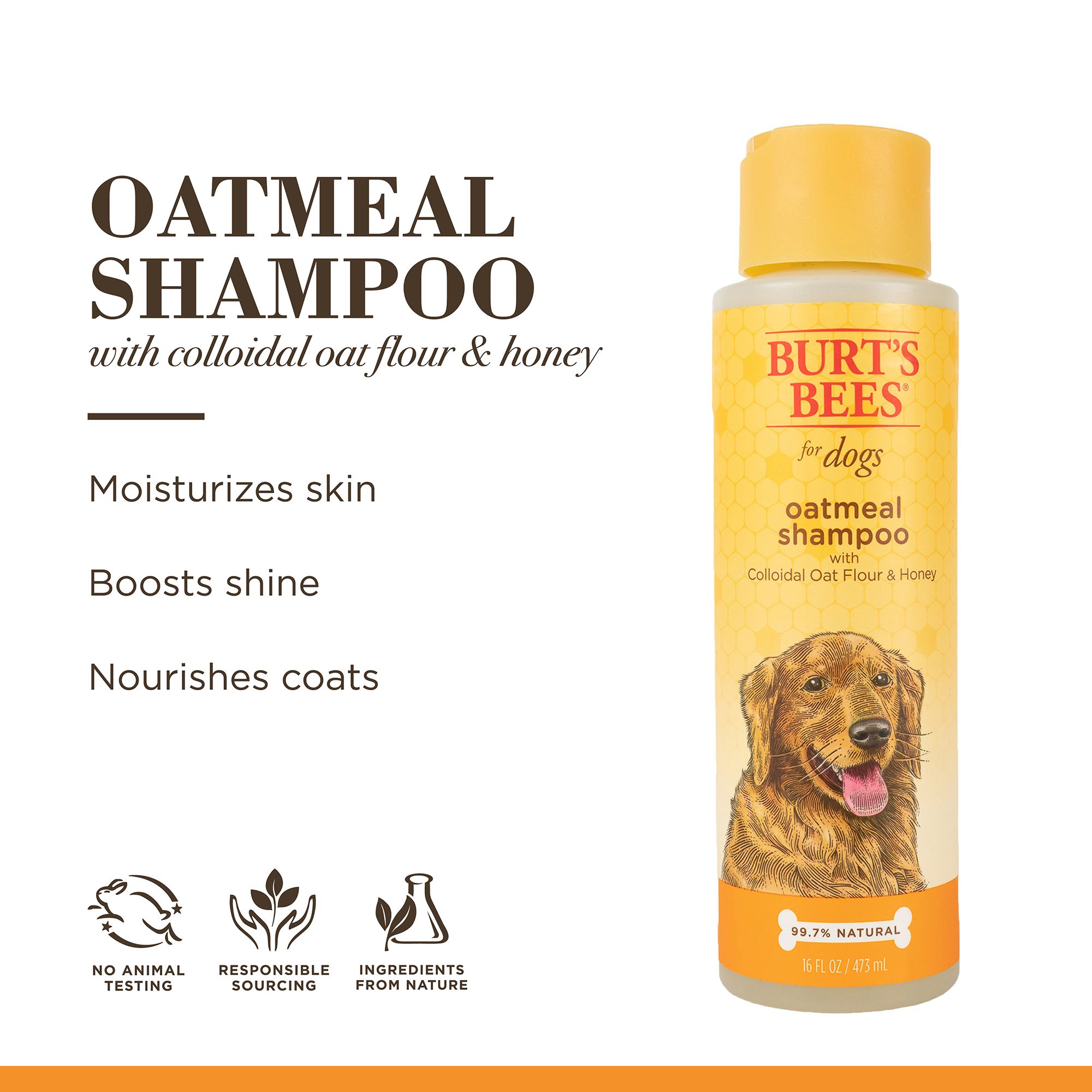 oatmeal dog shampoo