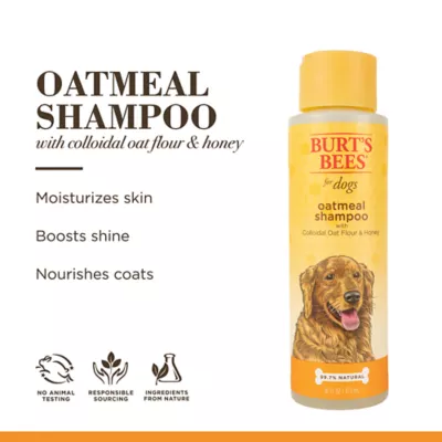 Product Burt's Bees® Oatmeal Dog Shampoo - Colloidal Oat Flour & Honey