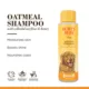 Product Burt's Bees® Oatmeal Dog Shampoo - Colloidal Oat Flour & Honey