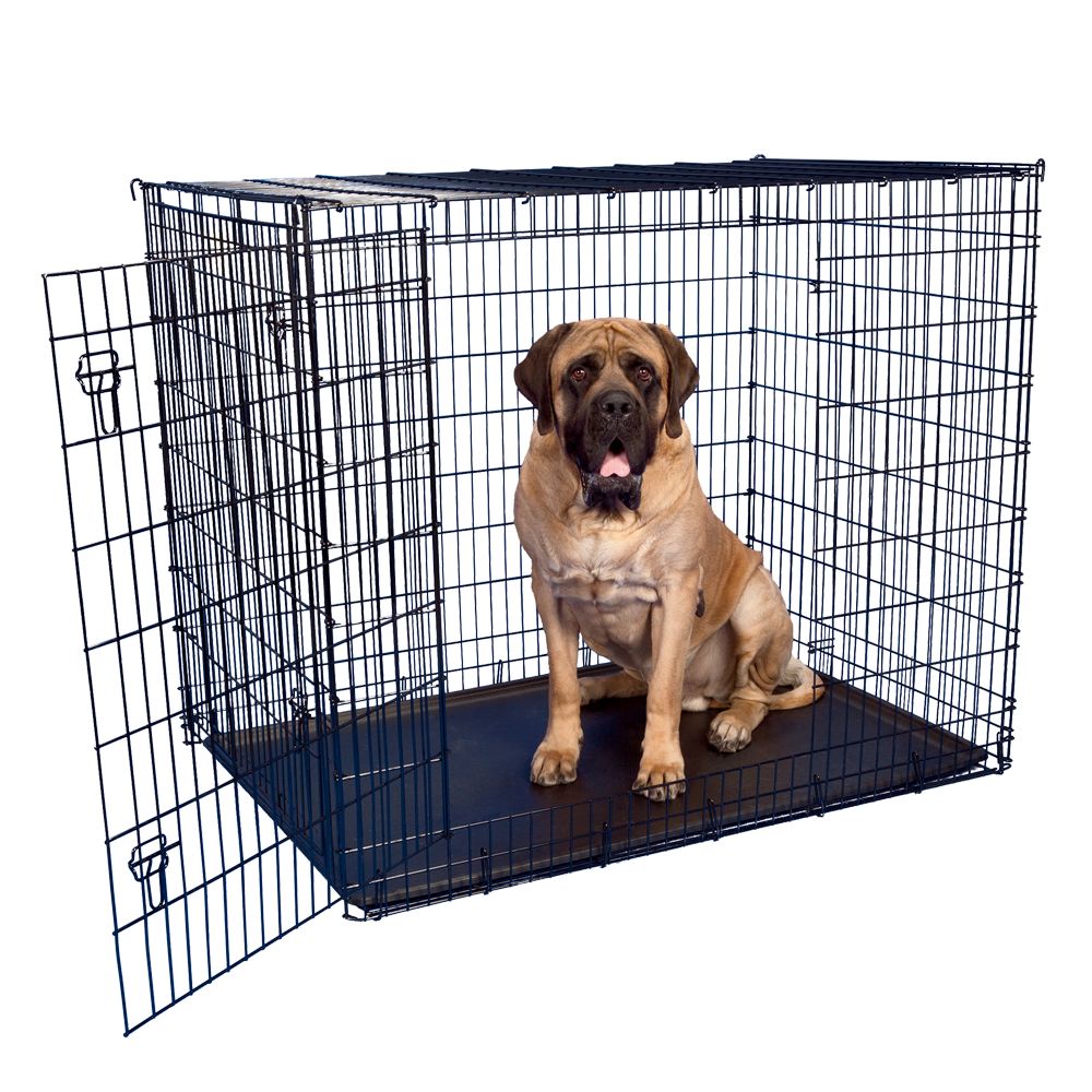 Great Choice Double Door Wire XL Dog 