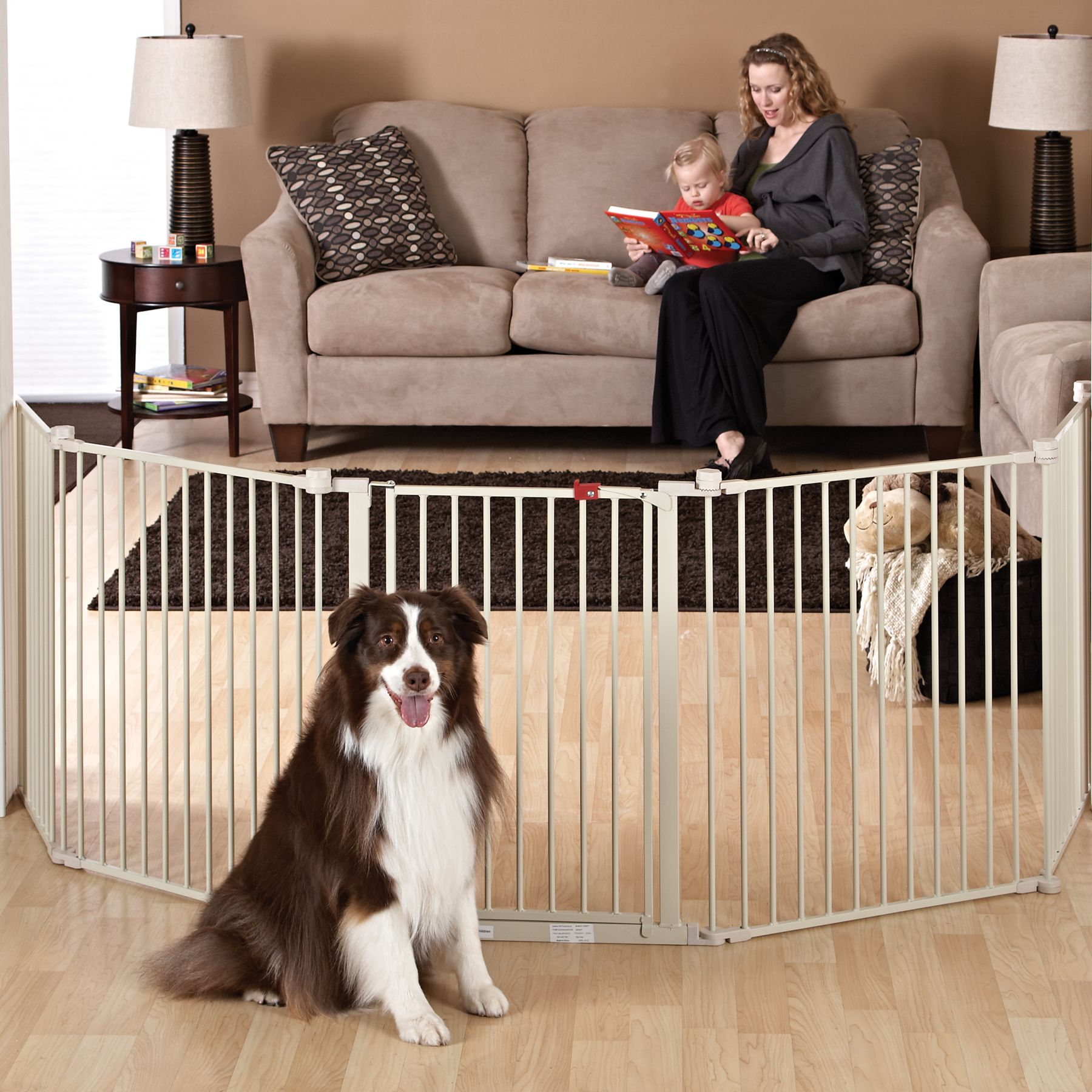 petsmart dog couch