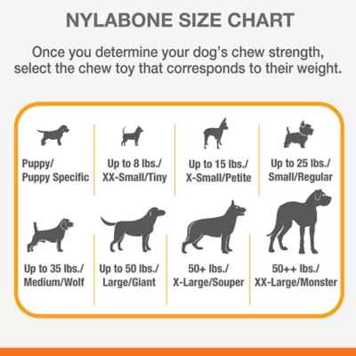 Product Nylabone® Puppy Chew Dog Toys - 2 Pack