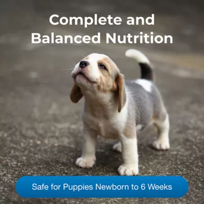 Product PetAg® PetLac™ Puppy Milk Replacement