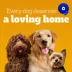 Pedigree Vitality+ Dry Food For Adult Dogs - Hearty Beef & Vegetable Flavour With Calcium image thumbnail 6