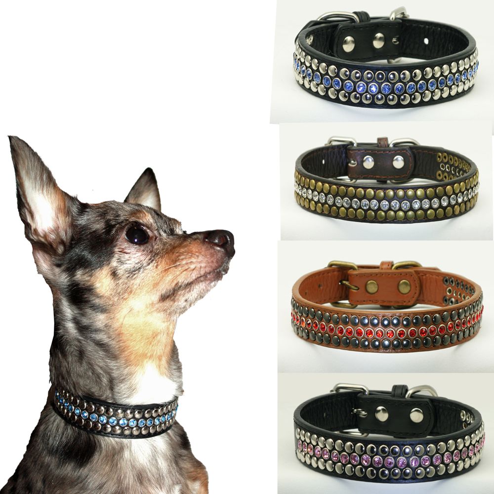 Hip Doggie Winston Dog Collar | dog Collars | PetSmart