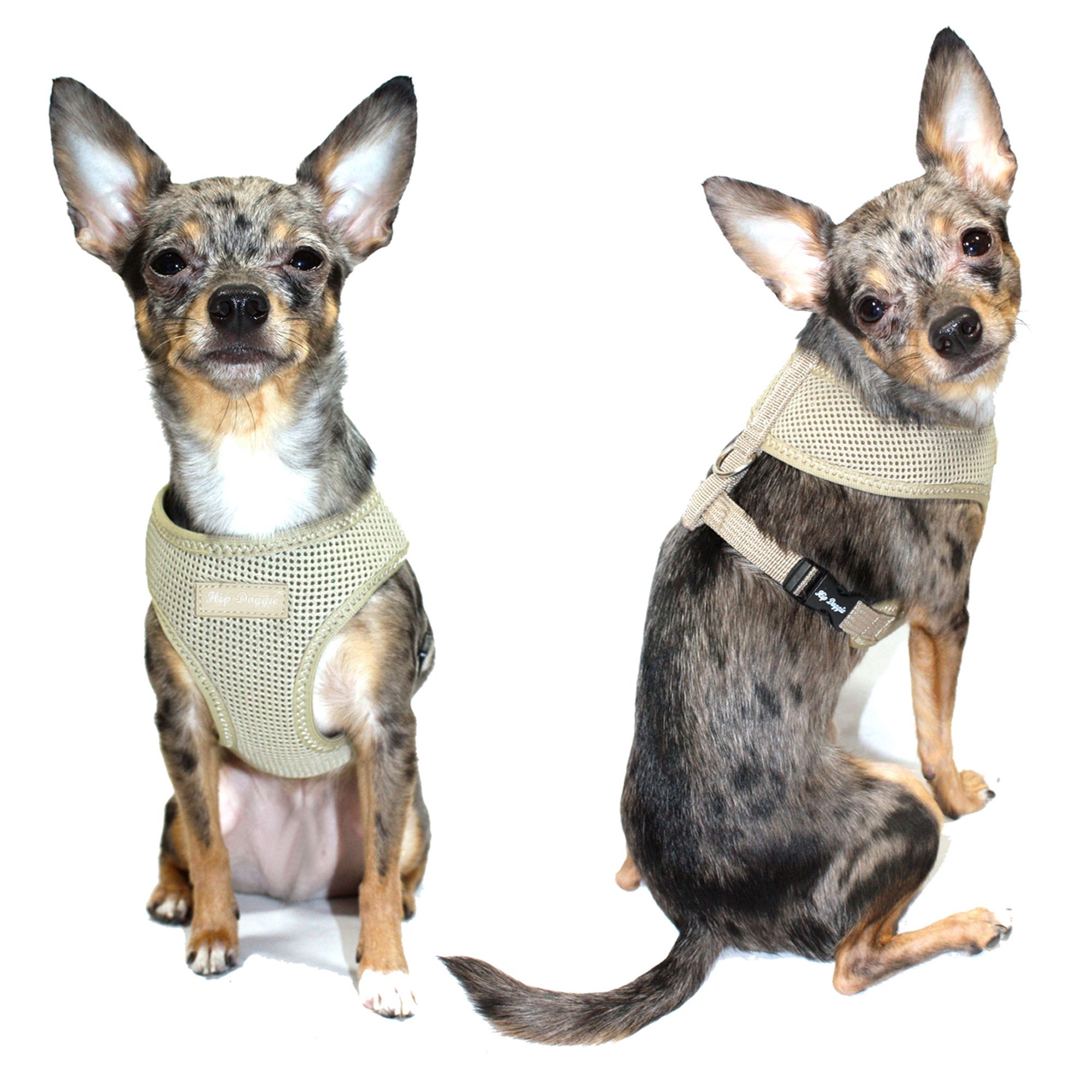 grass hay for bunnies