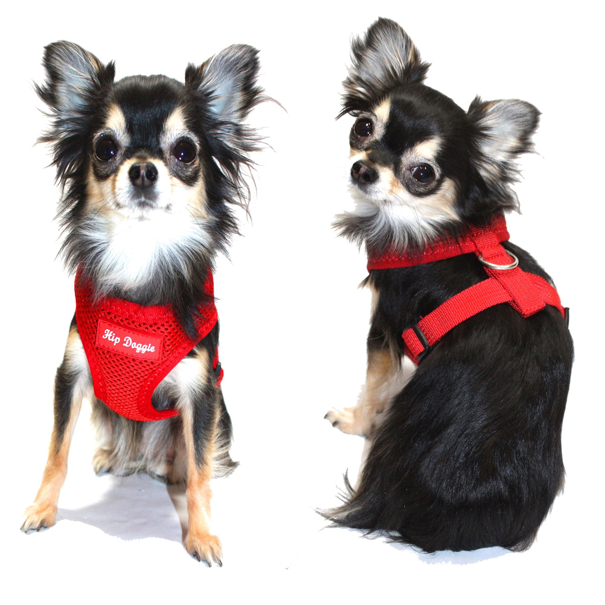 petsmart anxiety vest