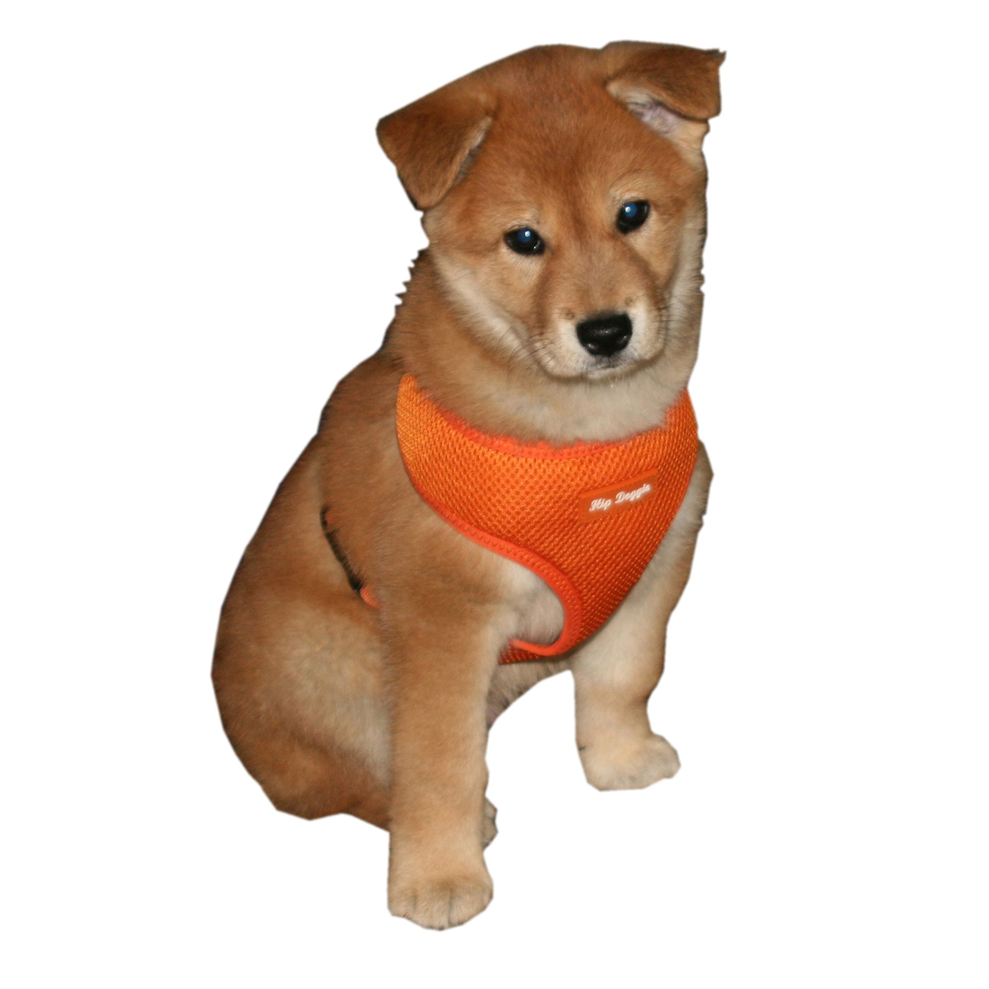 comfort dog harness vest