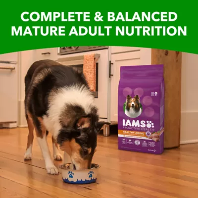 Product IAMS™ Proactive Health Adult Senior Dry Dog Food - Healthy Aging, Chicken & Whole Grains