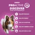 IAMS™ Proactive Health Adult Senior Dry Dog Food - Healthy Aging, Chicken & Whole Grains image thumbnail 5