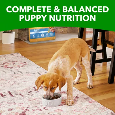 Iams Puppy Large Breed Dry Dog Food Chicken Whole Grains Recipe