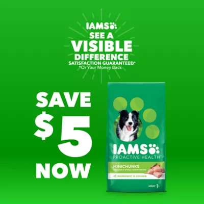 Iams large puppy hotsell