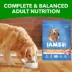 Iams Healthy Weight Control Adult Dry Dog Food with Real Chicken image thumbnail 4