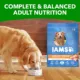 Product Iams Healthy Weight Control Adult Dry Dog Food with Real Chicken