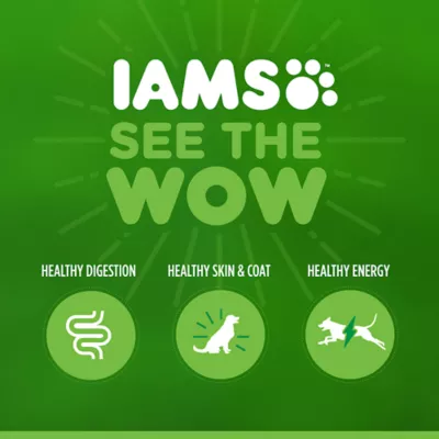 Iams healthy weight dog food reviews best sale