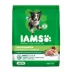IAMS™ Proactive Health Adult Dry Dog Food - High-Protein, Mini Chunks, Chicken & Whole Grains image thumbnail 1