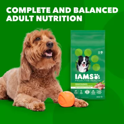 Iams proactive health chunks best sale