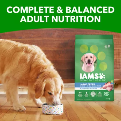 Iams Proactive Health Large Breed Adult Dry Dog Food with Real Chicken Whole Grains