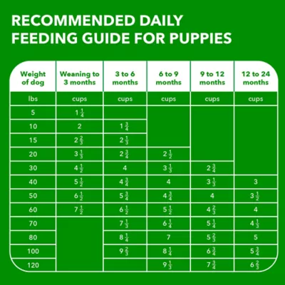 Product IAMS™ Proactive Health Large Breed Puppy Dry Dog Food - Healthy Development, Chicken
