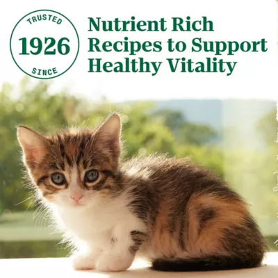 Nutro Wholesome Essentials Cat Food Chicken Brown Rice Recipe Kitten 48 oz