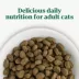 Nutro Wholesome Essentials ™ Adult Dry Cat Food - Non-GMO, Natural, Salmon & Brown Rice image thumbnail 5