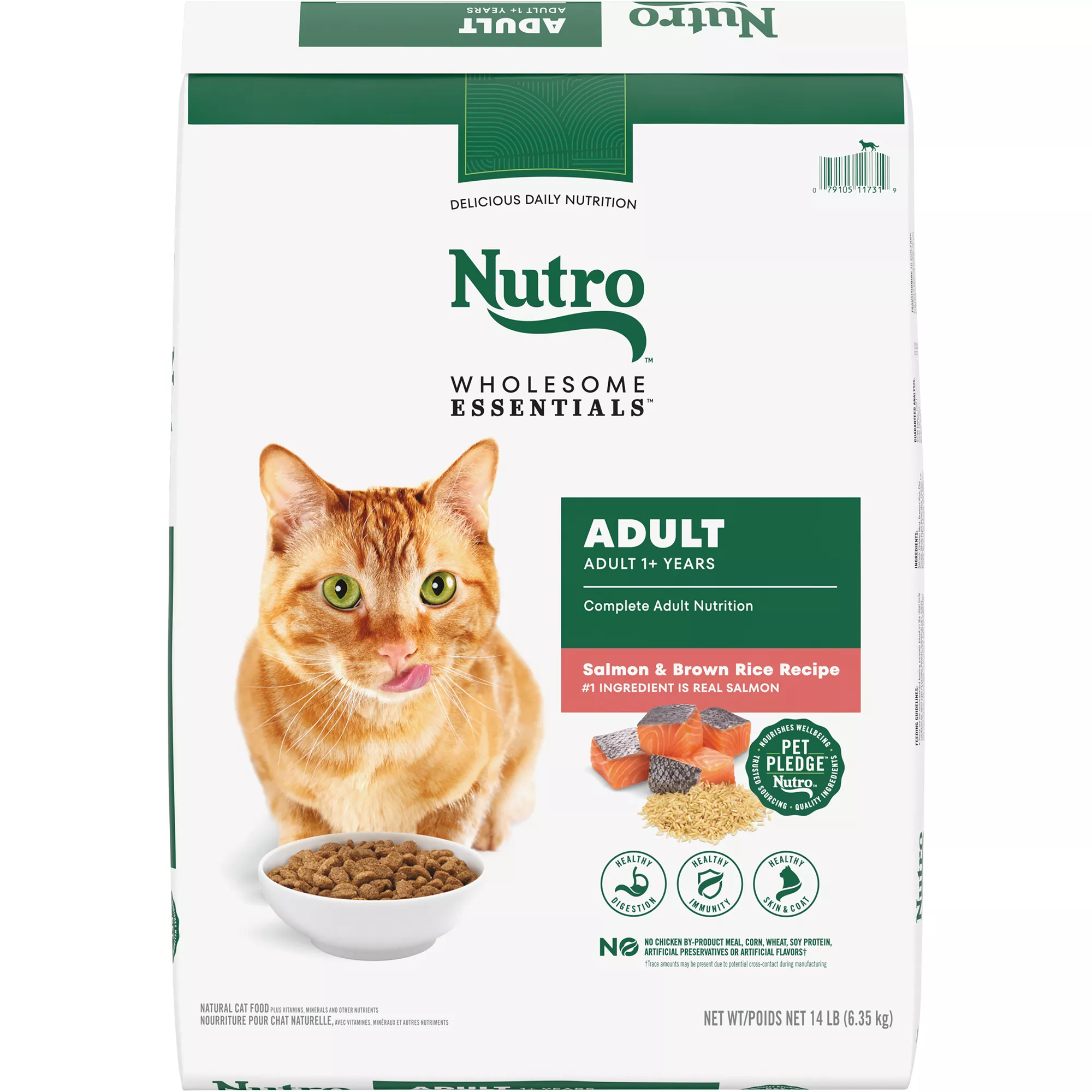 Nutro Wholesome Essentials &trade; Adult Dry Cat Food - Natural, Salmon & Brown Rice