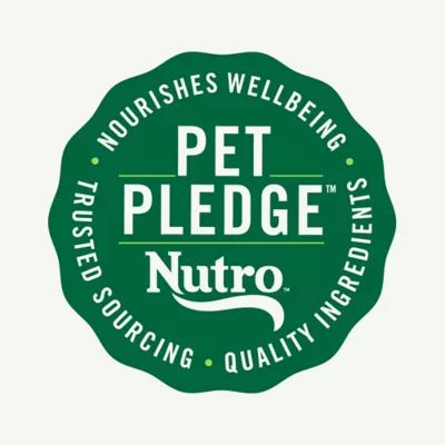 Product Nutro Wholesome Essentials ™ Adult Dry Cat Food - Non-GMO, Natural, Salmon & Brown Rice