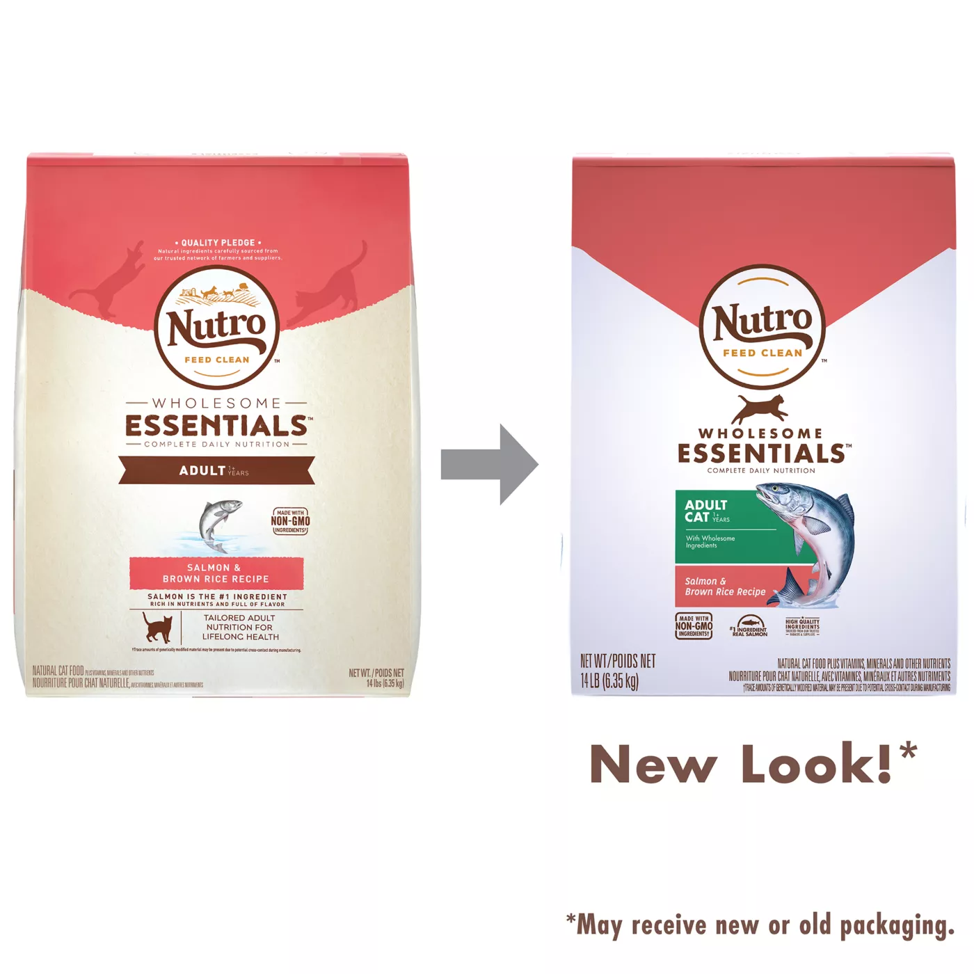 Nutro cat fashion food petsmart