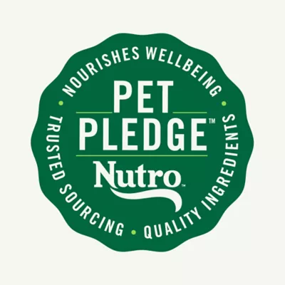 Product Nutro Wholesome Essentials™ Indoor Senior Dry Cat Food - Natural, Chicken & Brown Rice