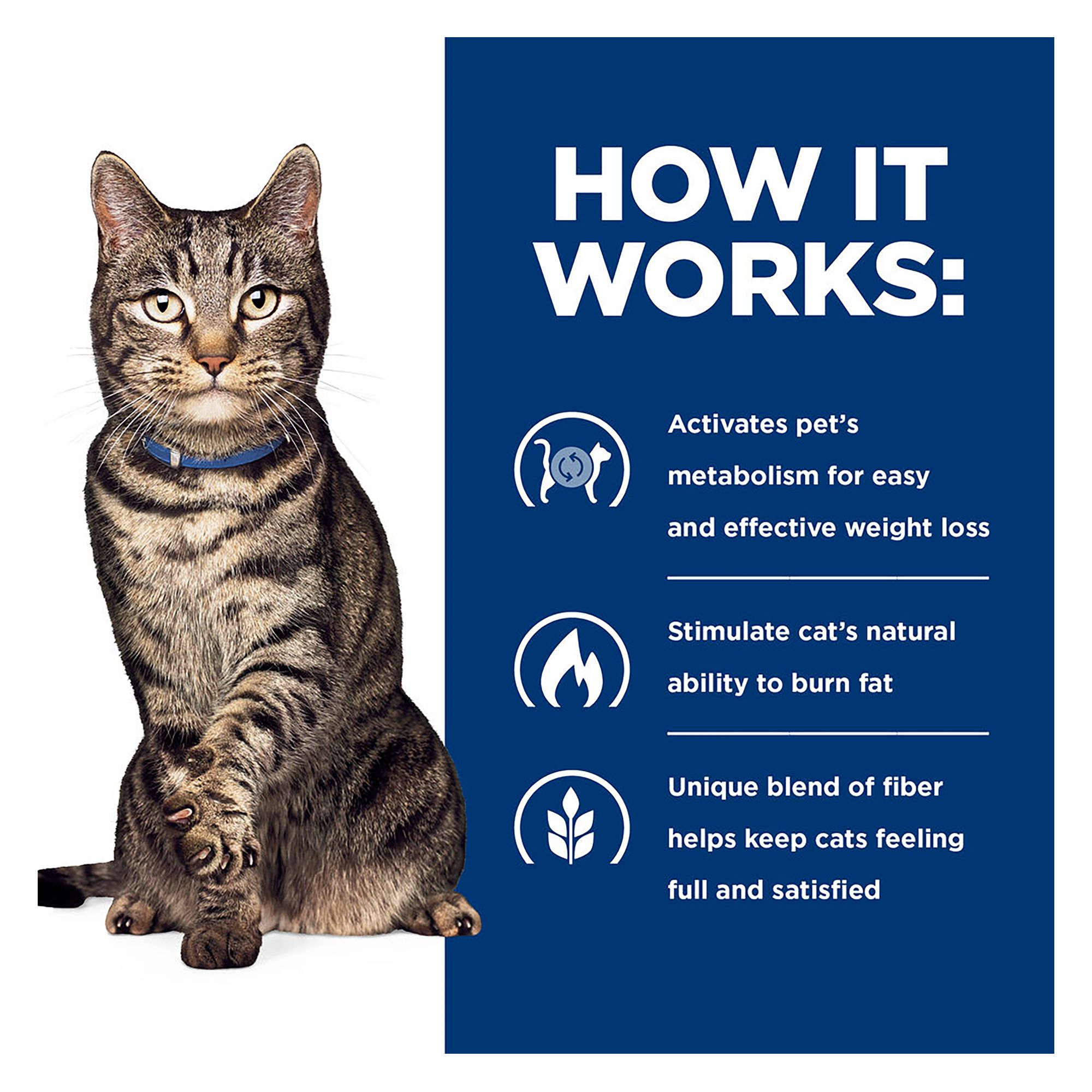 Metabolic diet for cats hotsell