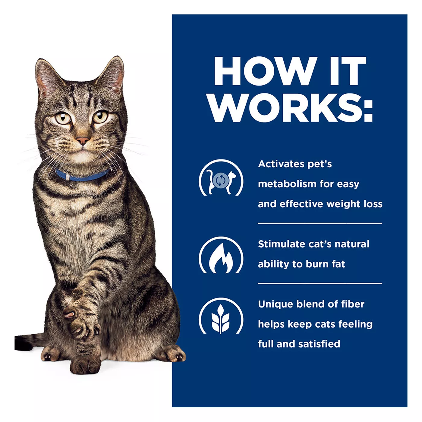 Hills science metabolic cat food hotsell