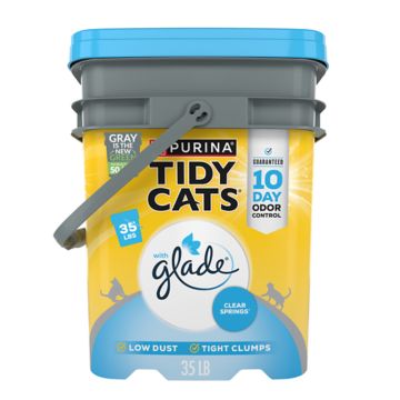 Essential Everyday Clumping Cat Litter, Multi Cat, Lightweight, Scoopable,  Unscented 10 Lb