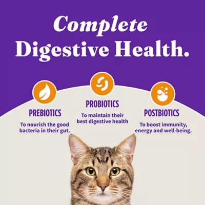 Halo Holistic Grain Free Healthy Weight, Adult Indoor Dry Cat Food - Chicken Recipe - Image 6