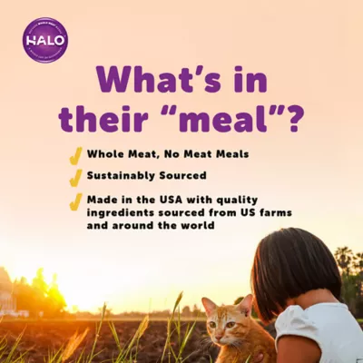 Product HALO® Indoor Cat Food - Natural, Grain Free, Chicken Recipe Pate