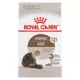 Product Royal Canin® Feline Health Nutrition™ Aging 12+ Cat Food