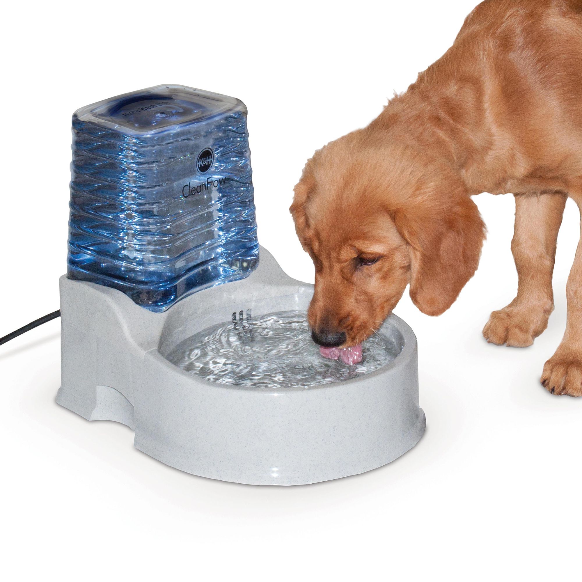 Petsmart store water dish