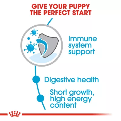 Product Royal Canin Size Health Nutrition Medium Breed Puppy Dog Dry Food