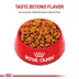 Royal Canin Size Health Nutrition Medium Breed Adult Dry Dog Food image thumbnail 2