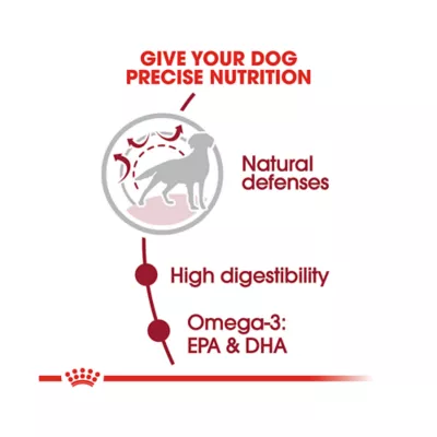 Product Royal Canin Size Health Nutrition Medium Breed Adult Dry Dog Food