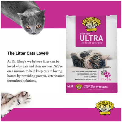 Product Dr. Elsey's Precious Cat Ultra Clumping Multi-Cat Clay Cat Litter - Scented, Low Dust, Low Tracking