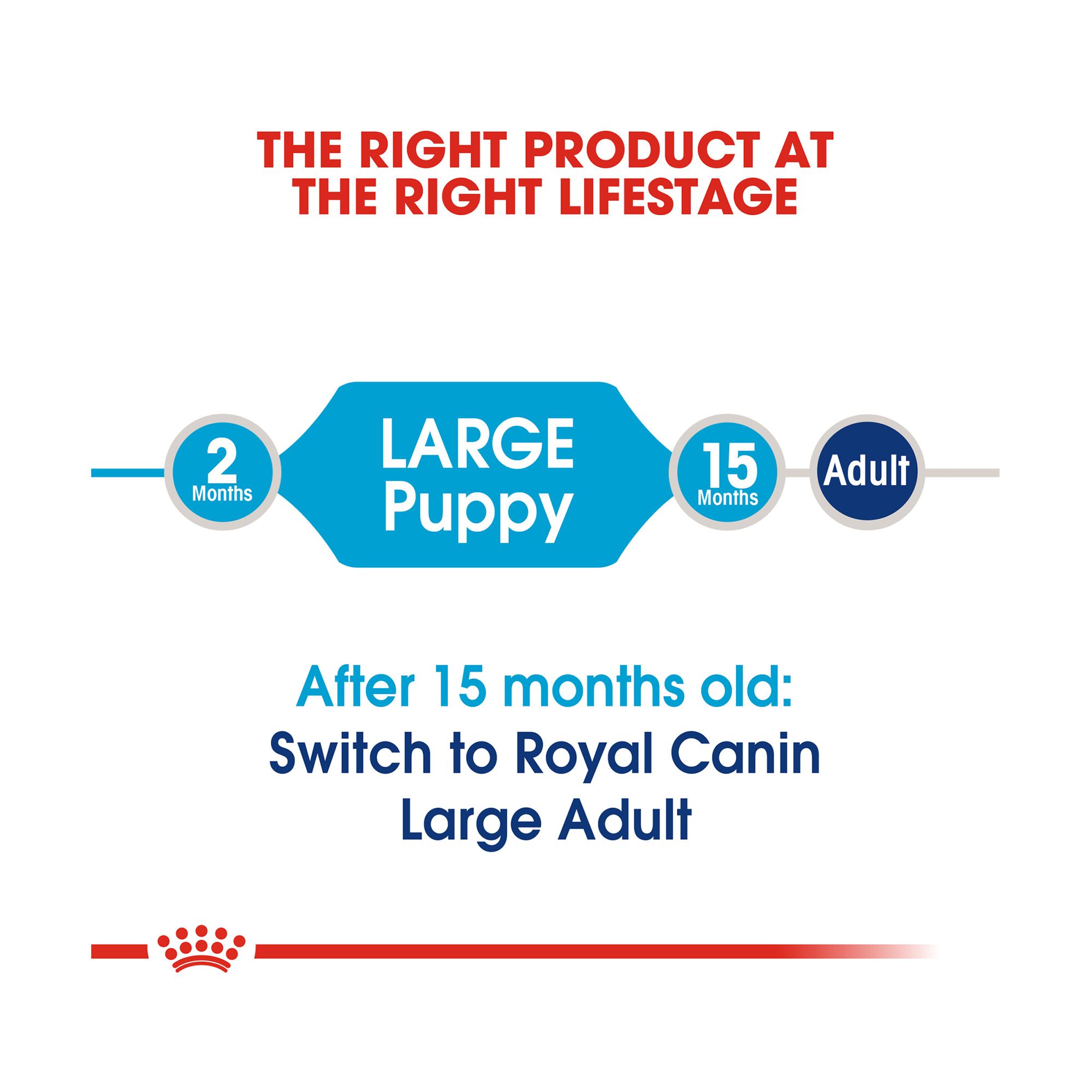 royal canin giant puppy feeding chart
