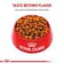 Royal Canin Size Health Nutrition Large Breed Adult 5+ Dog Dry Food - 30 lb image thumbnail 2