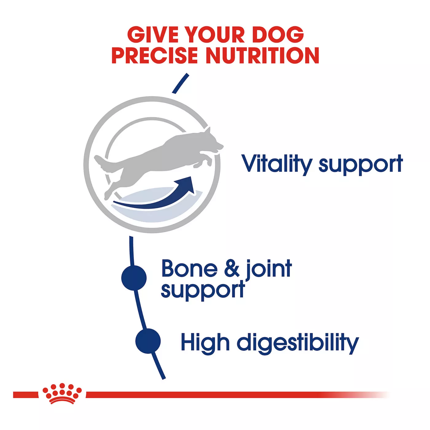 Product Royal Canin Size Health Nutrition Large Breed Adult 5+ Dog Dry Food - 30 lb