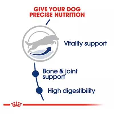 Product Royal Canin Size Health Nutrition Large Breed Adult 5+ Dog Dry Food - 30 lb